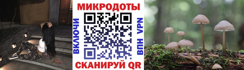 как найти наркотики  Онега  Псилоцибиновые грибы MAGIC MUSHROOMS 